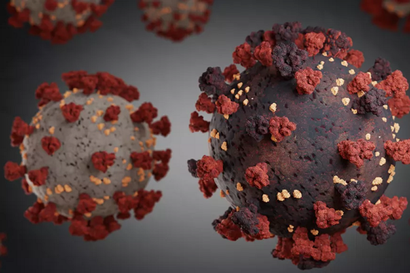 Virus_Flu_Rusia