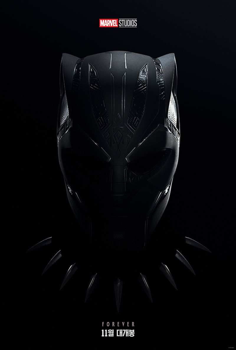 Black Panther 2 Akan Dirilis Bulan November 'Wakanda Forever'
