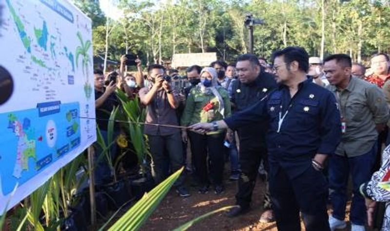 mentan-syl-dalam-peninjauan-kesiapan-lokasi-penanaman-kelapa-genjah_220805191334