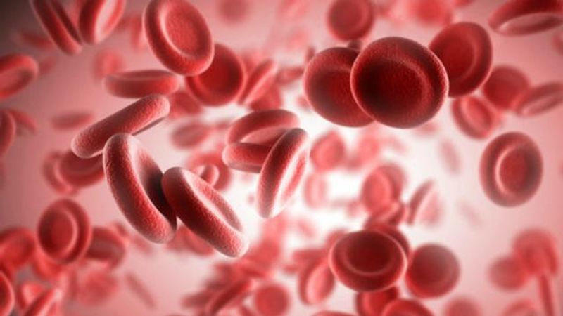 thalassemia