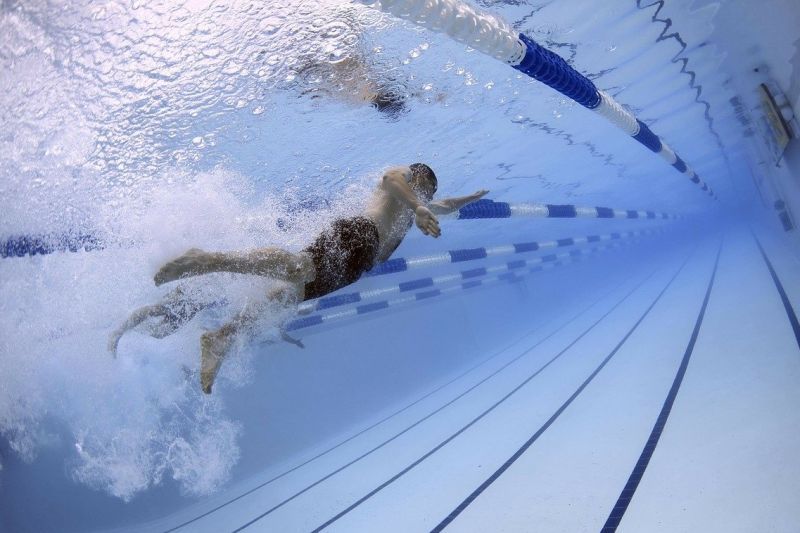 swimmers-79592_1280