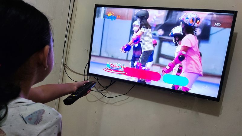 30 UDAH KEPAKE