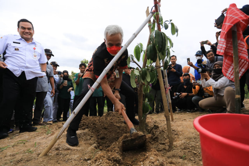 1666861467625-s2_detail