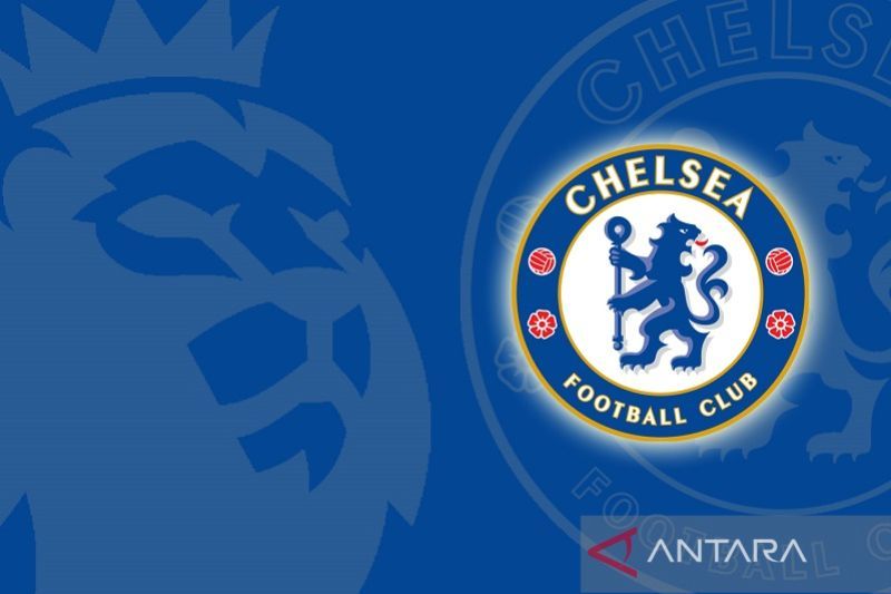 20220811-ilustrasi-chelsea (1)