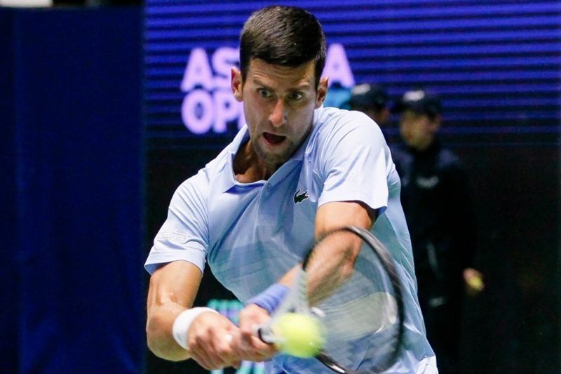 novak (1)