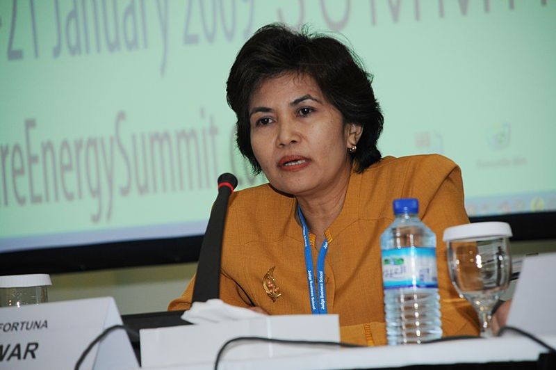 dewi fortuna anwar