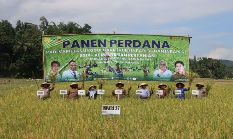 pusat_41aae510-d89e-4632-8b54-4fcbf982d22c_news