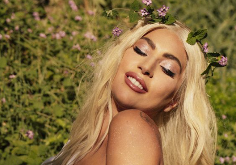 Pria yang Tembak Penjaga Anjing Lady Gaga Dijatuhi Hukuman 21 Tahun Penjara