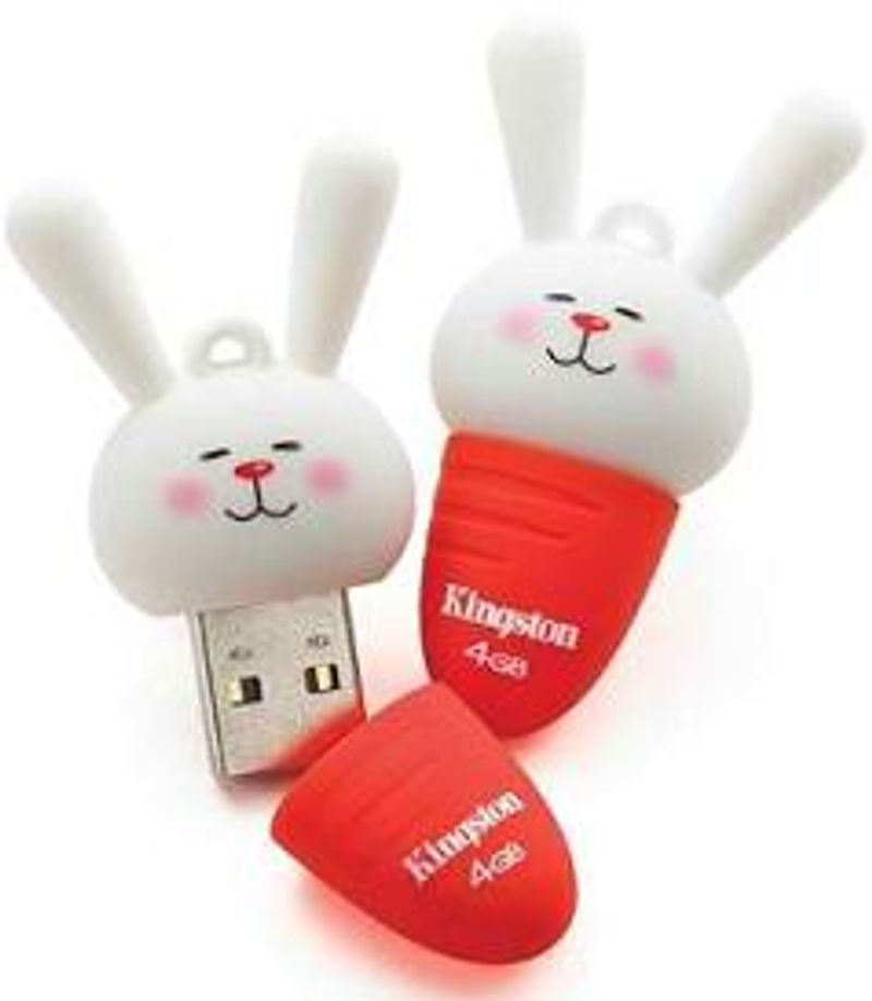 usb kingston