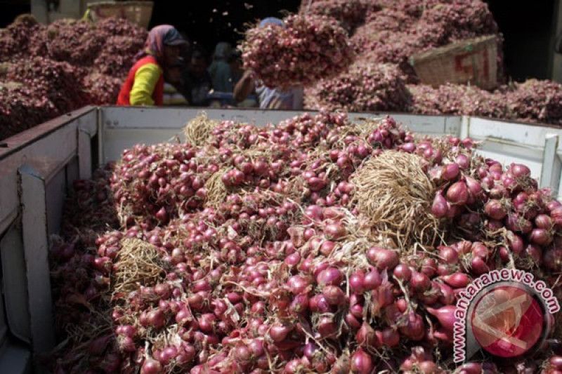 20170714antarafoto-harga-bawang-merah-naik-1140717-um-5