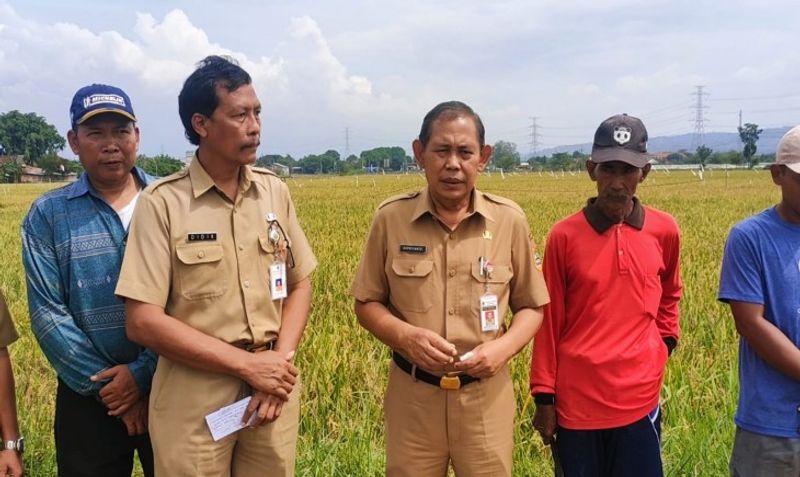 pusat_56dba09f-4c78-44d5-8c52-d0330ecc6853_news