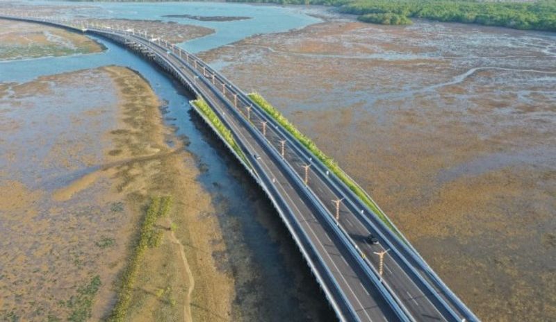 program-beautifikasi-dan-landscaping-jalan-tol-menteri-basuki-minta-bujt-selesai