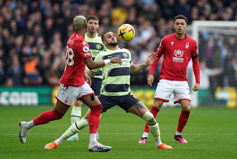 forest vs city