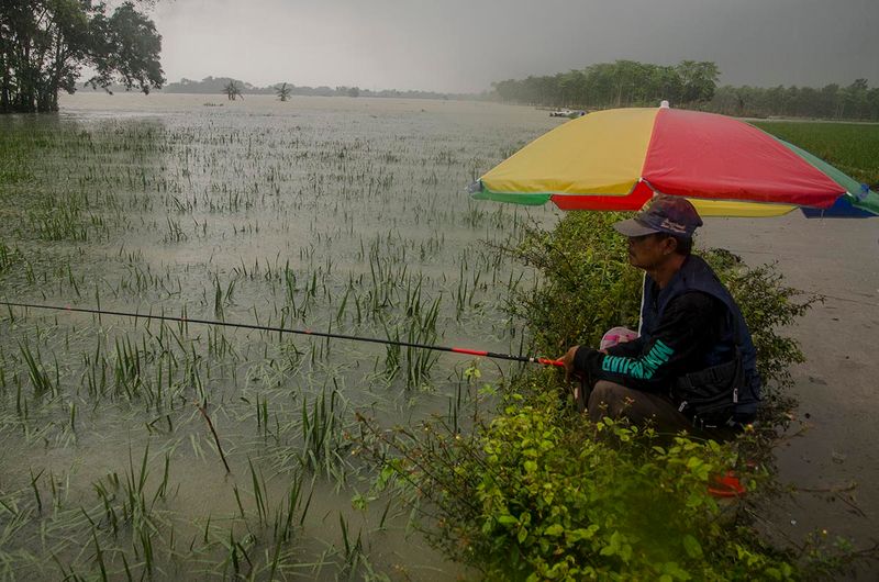 areal-persawahan-terdampak-banjir-kabupaten-karawang-2