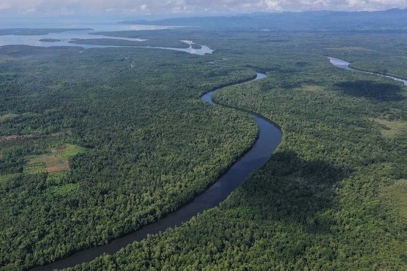 kawasan-hutan-mangrove-kendari-2