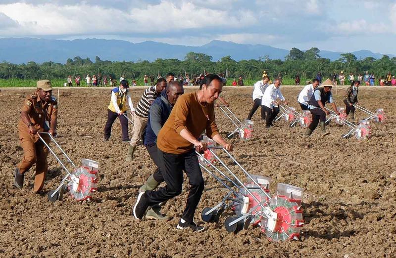 jokowi-tinjau-lumbung-pangan-di-papua--1