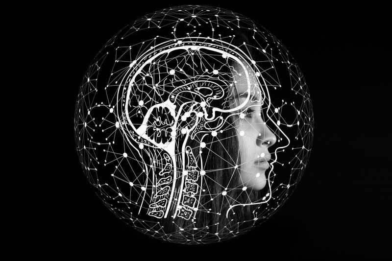 artificial-intelligence-g6aa1e038e_1280