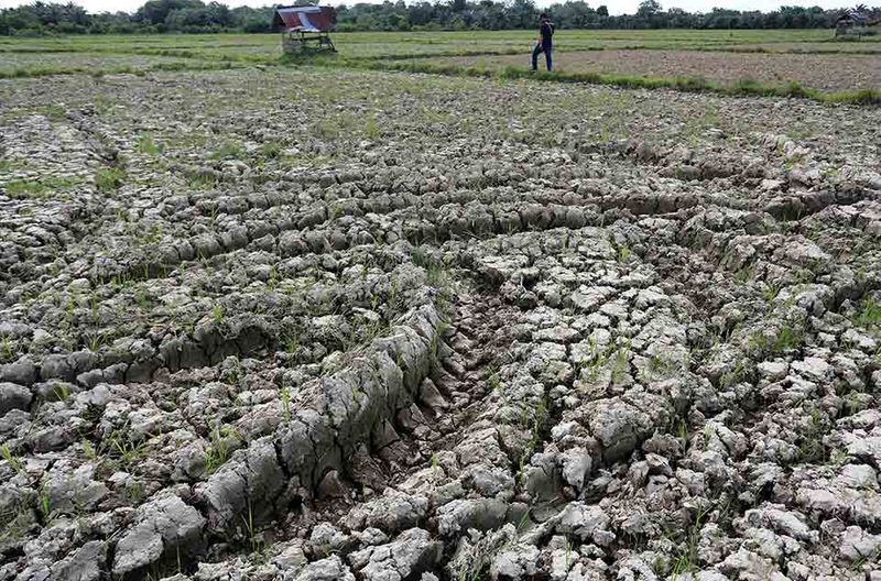 lahan-sawah-kering-di-aceh-barat-2
