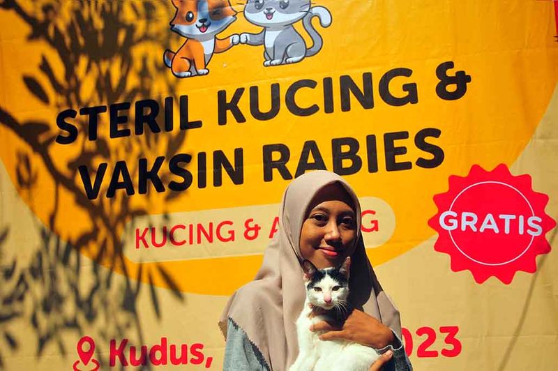 steril-kucing-dan-vaksinasi-rabies-di-kudus-2