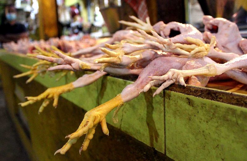 Pasar Ayam-6
