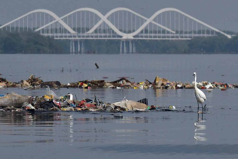pembersihan-sampah-di-hutan-mangrove-muara-angke-10