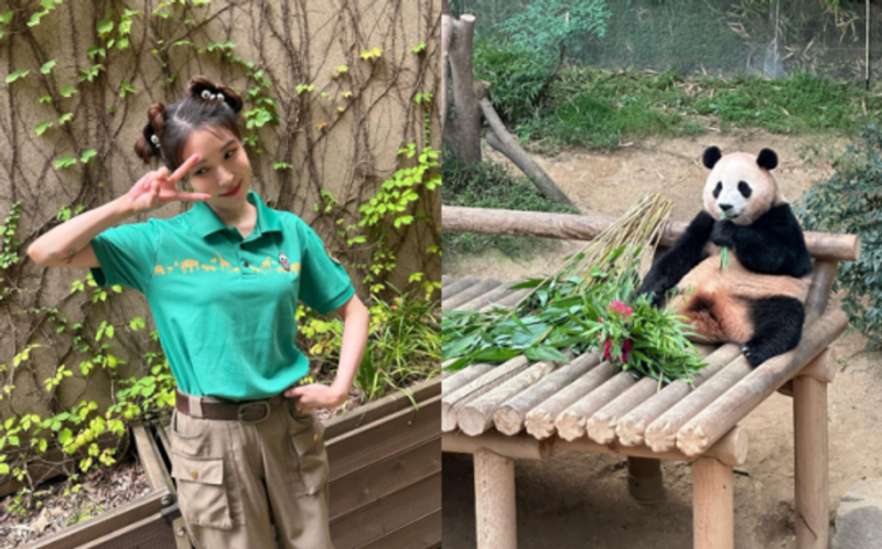 BoA Kerja Part-Time Jadi Manager Panda Viral di Korea 'Fu Bao'