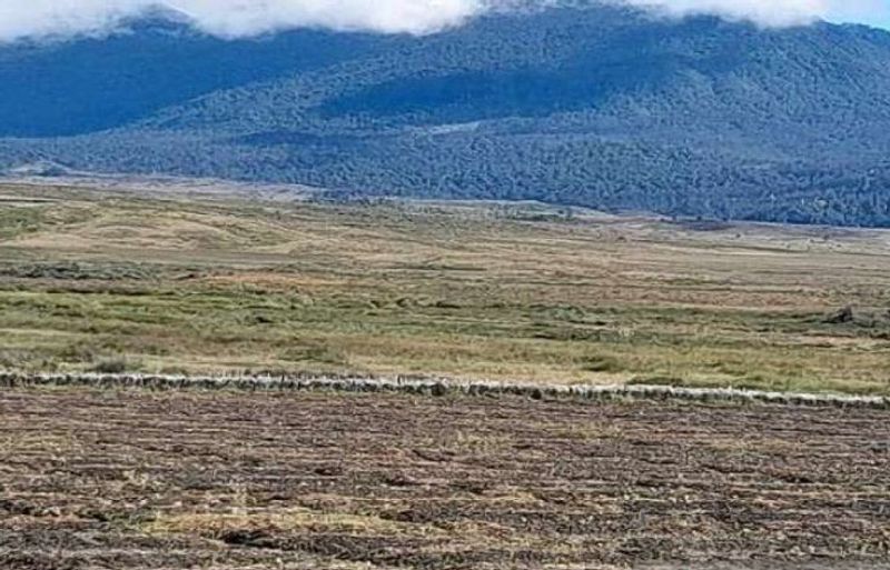 Lahan tandus di Kab Puncak, Papua Tengah