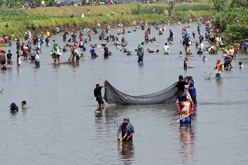 berburu-ikan-pladu-sungai-irigasi-tulungagung-3