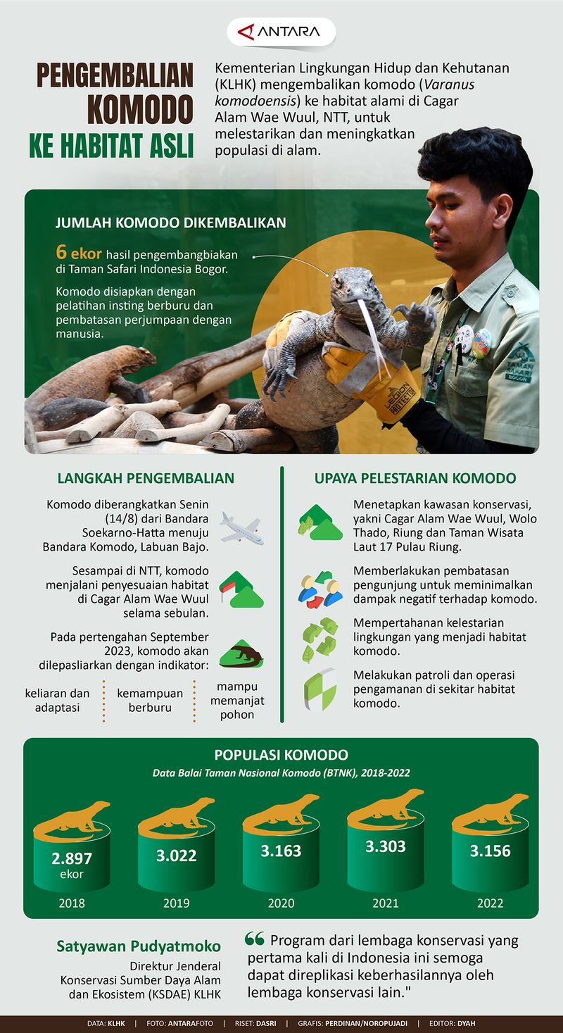 20230819pengembalian-komodo