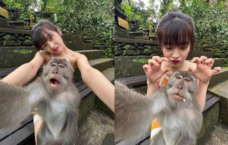 Ahn Yujin IVE Selfie Bareng Monyet di Bali, Bikin Penggemar Iri