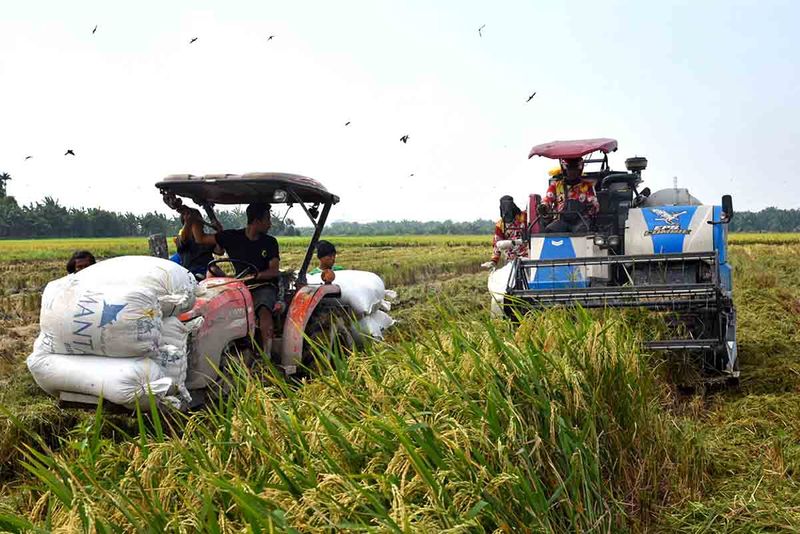target-produksi-beras-tahun-8