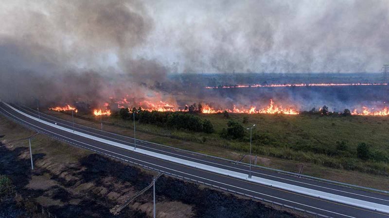 kebakaran-lahan-di-samping-jalan-tol-palembang-indralaya-18