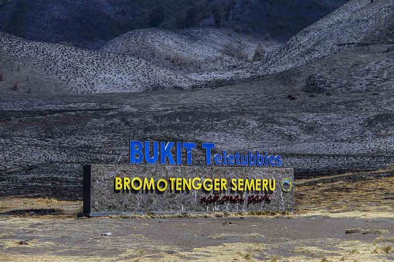 kebakaran-gunung-bromo-padam-11