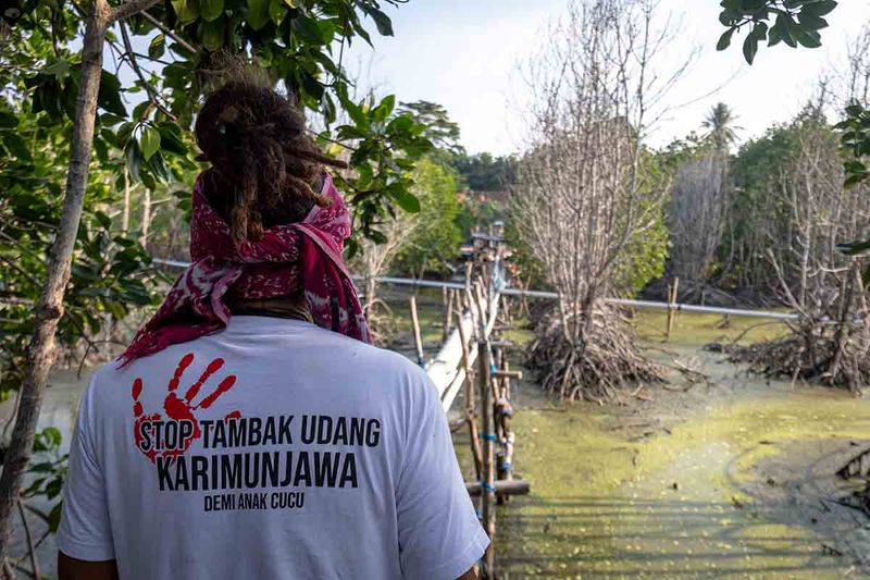 dampak-kerusakan-lingkungan-akibat-tambak-udang-di-karimunjawa-3