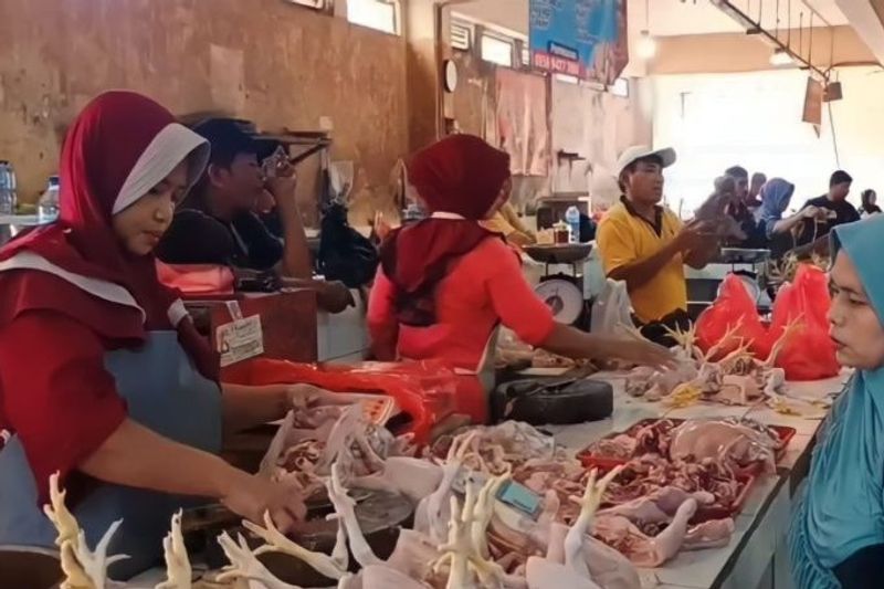 Pedagang Ingin Harga Ayam Turun