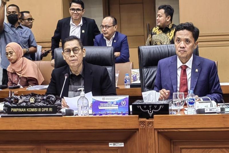 Komisi III DPR RI soal Arsul Sani