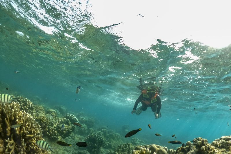 antarafoto-wisata-pulau-seribu-090923-adm-7 dan terumbu karang