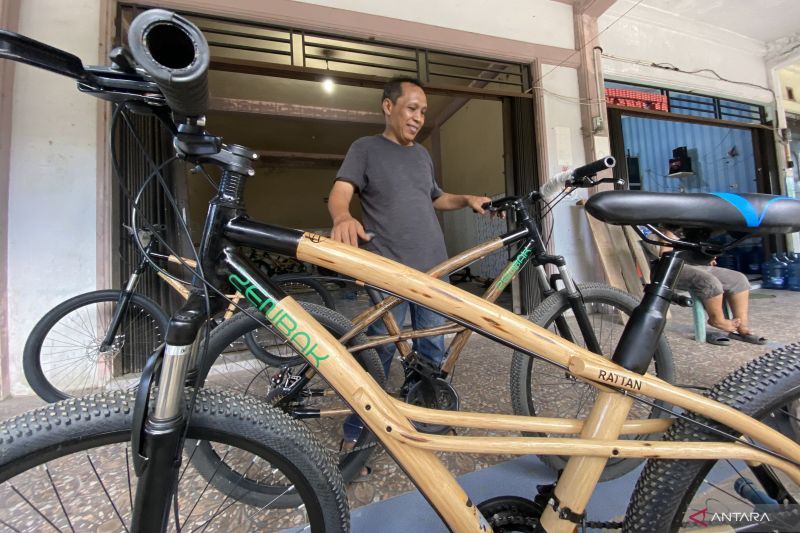 Sepeda Rotan