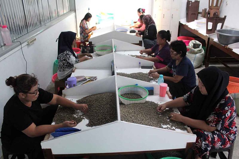 pelaku umkm aktif-terdaftar-padi-04122023-yudi-3