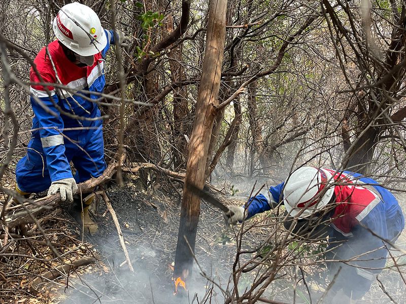 Pertamina Geothermal Energy Terlibat Aktif Pemadaman Kebakaran di Gunung Papandayan