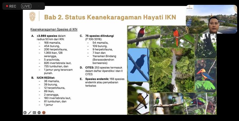 Ekosistem IKN