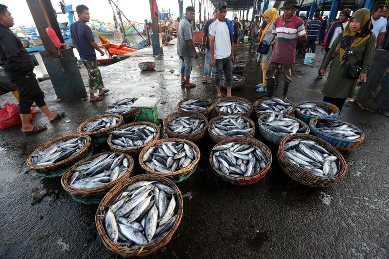 antarafoto-harga-ikan-tongkol-anjlok-di-aceh-120124-irp-4