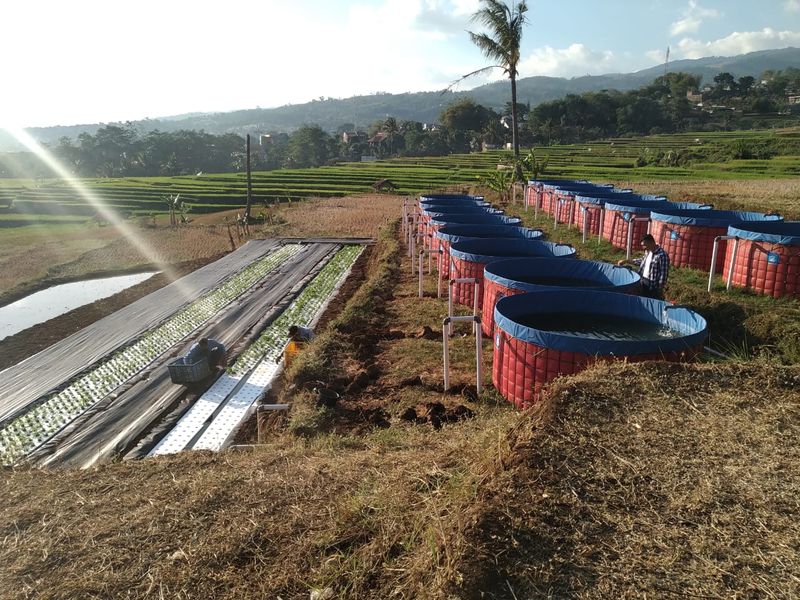 Sekemala Integrated Farming Buruan SAE