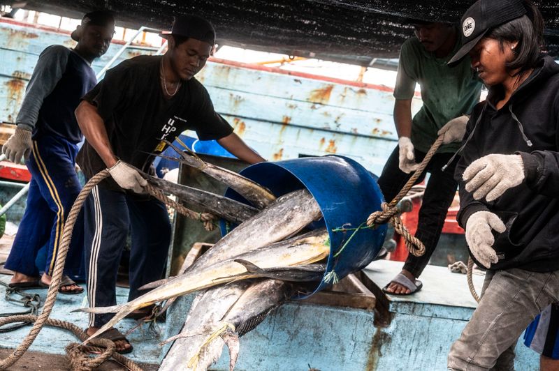 antarafoto-target-produksi-perikanan-nasional-230424-aaa-2 ikan
