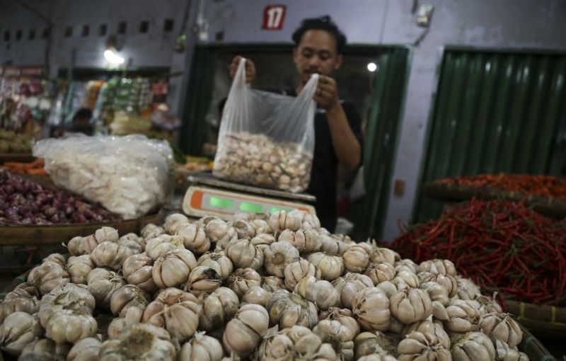 antarafoto-kebutuhan bawang putih-nasional-011123-pur-1a impor
