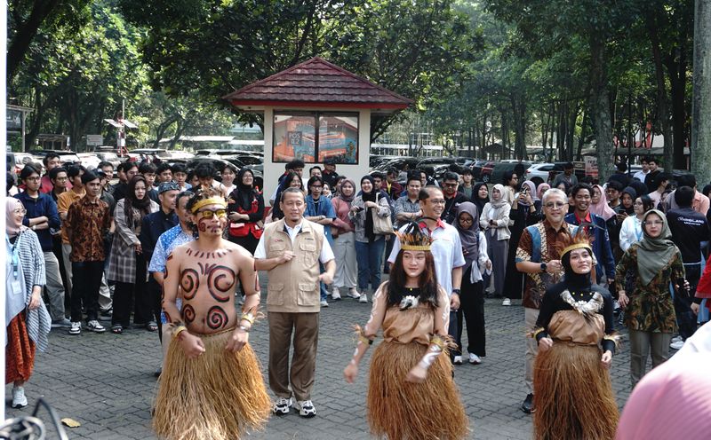 Market Day Telyu1