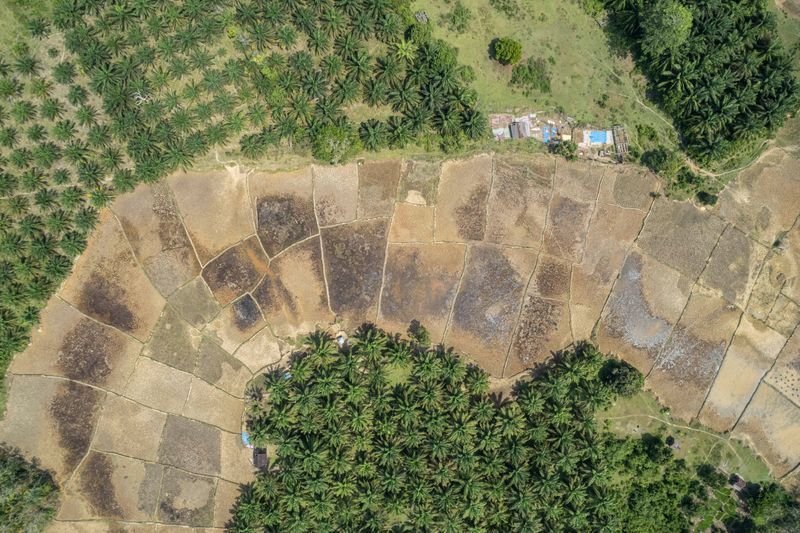 antarafoto-ribuan-hektare-sawah-terdampak-kerusakan-bendungan-irigasi-280724-ws-