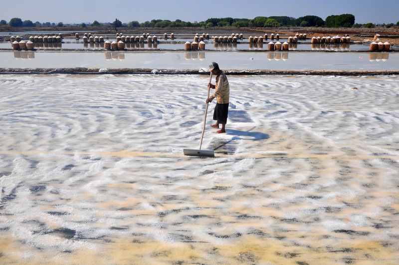 antarafoto-panen-garam-di-jepara-300724-yn-5