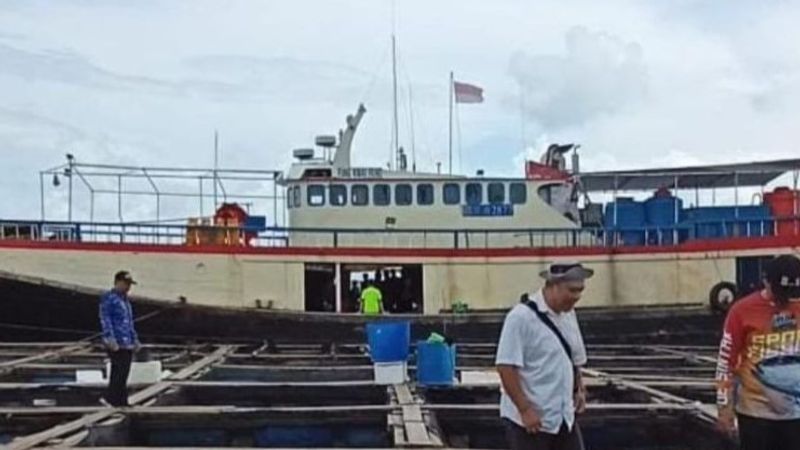 Budi daya kerapu di Belitung