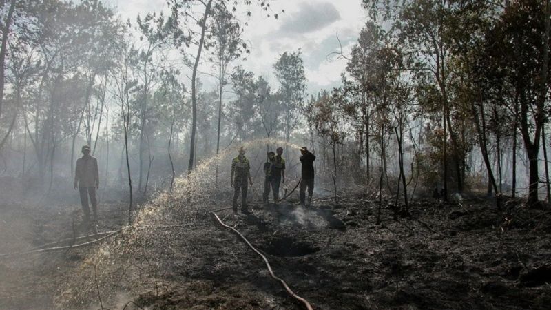 Sejumlah relawan pemadam kebakaran berupaya memadamkan sisa api yang membakar lahan gambut
